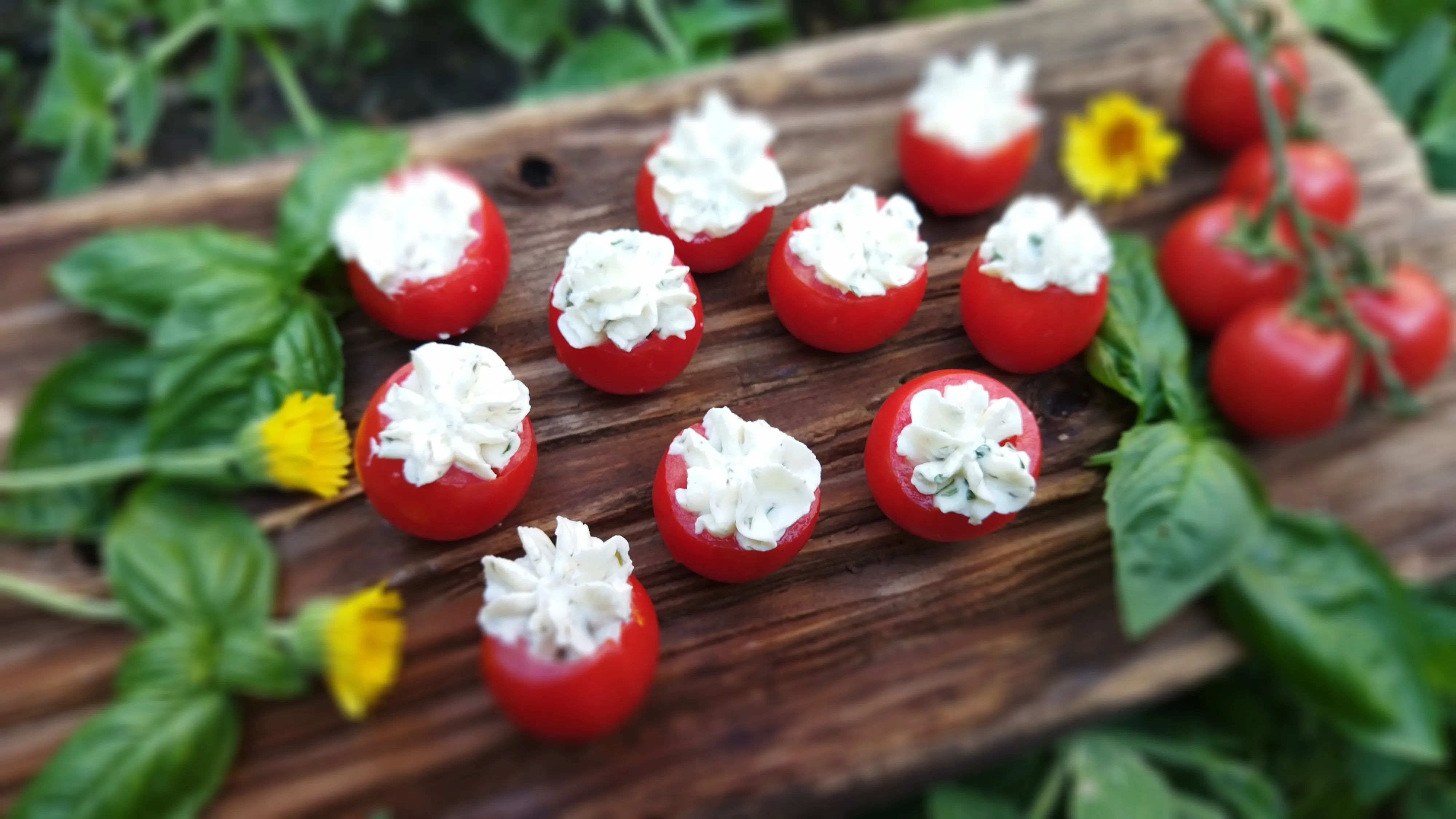 Gefüllte Kirschtomaten
