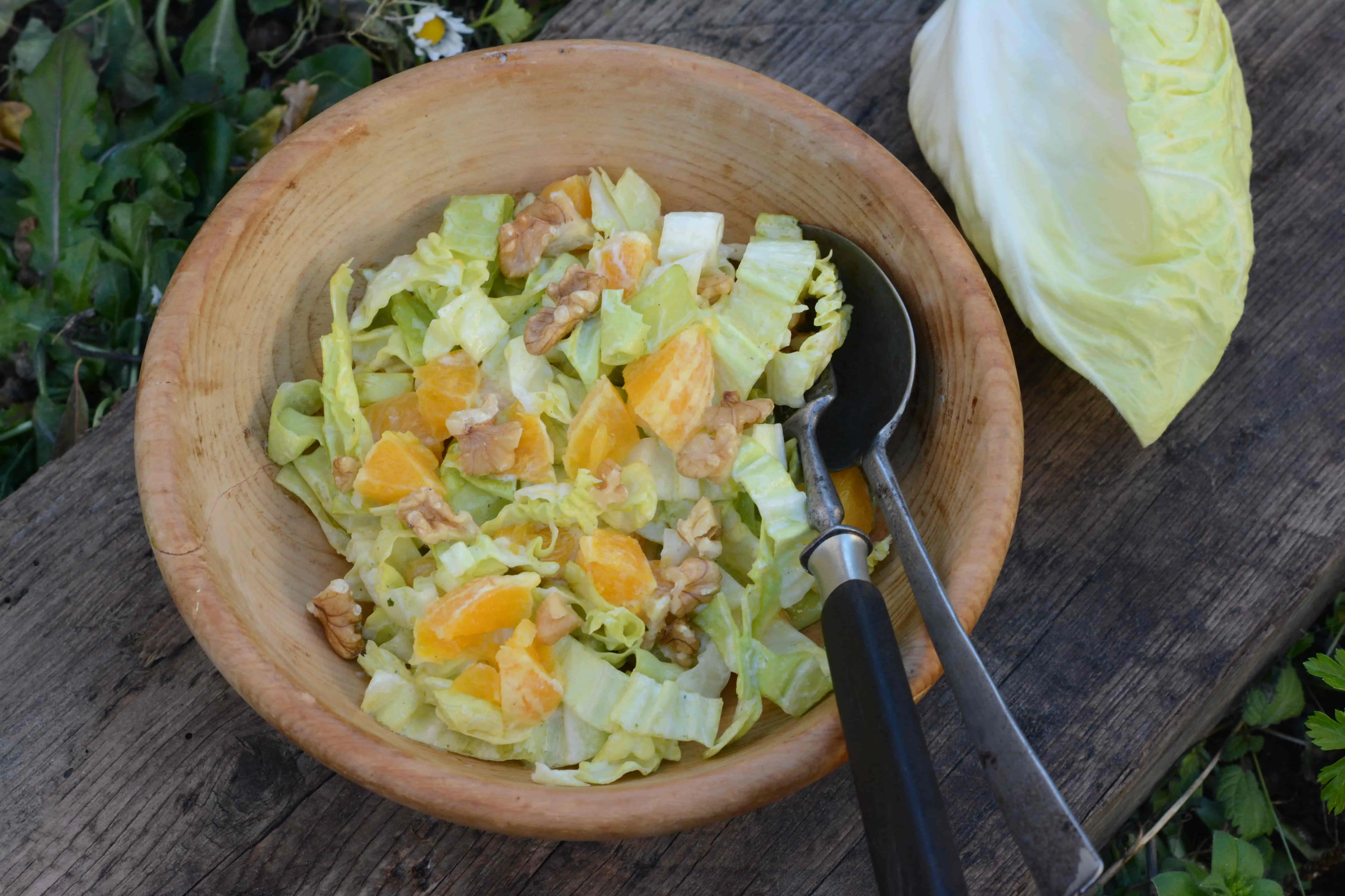 Zuckerhutsalat mit Orangen