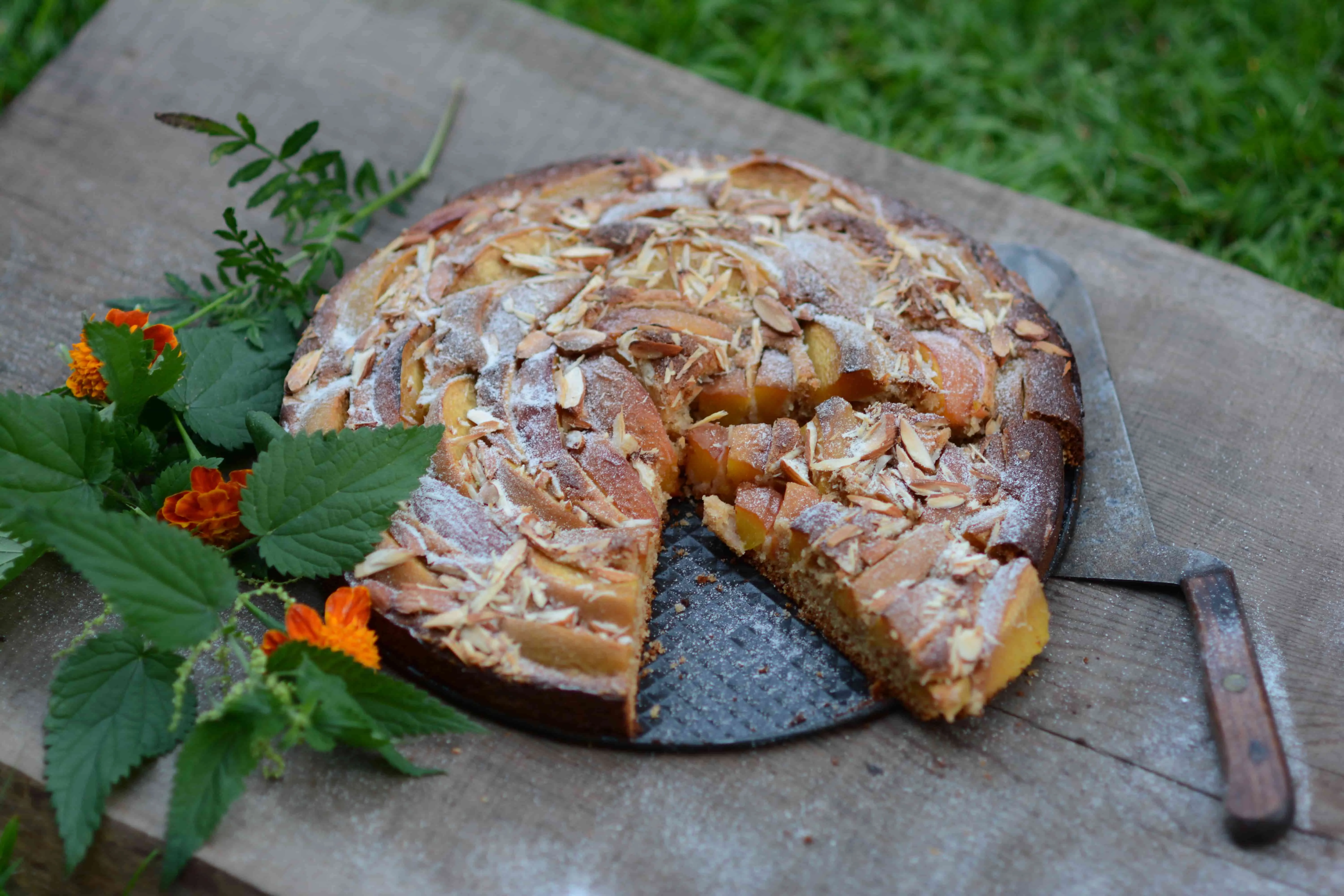 Pfirsichkuchen (11)