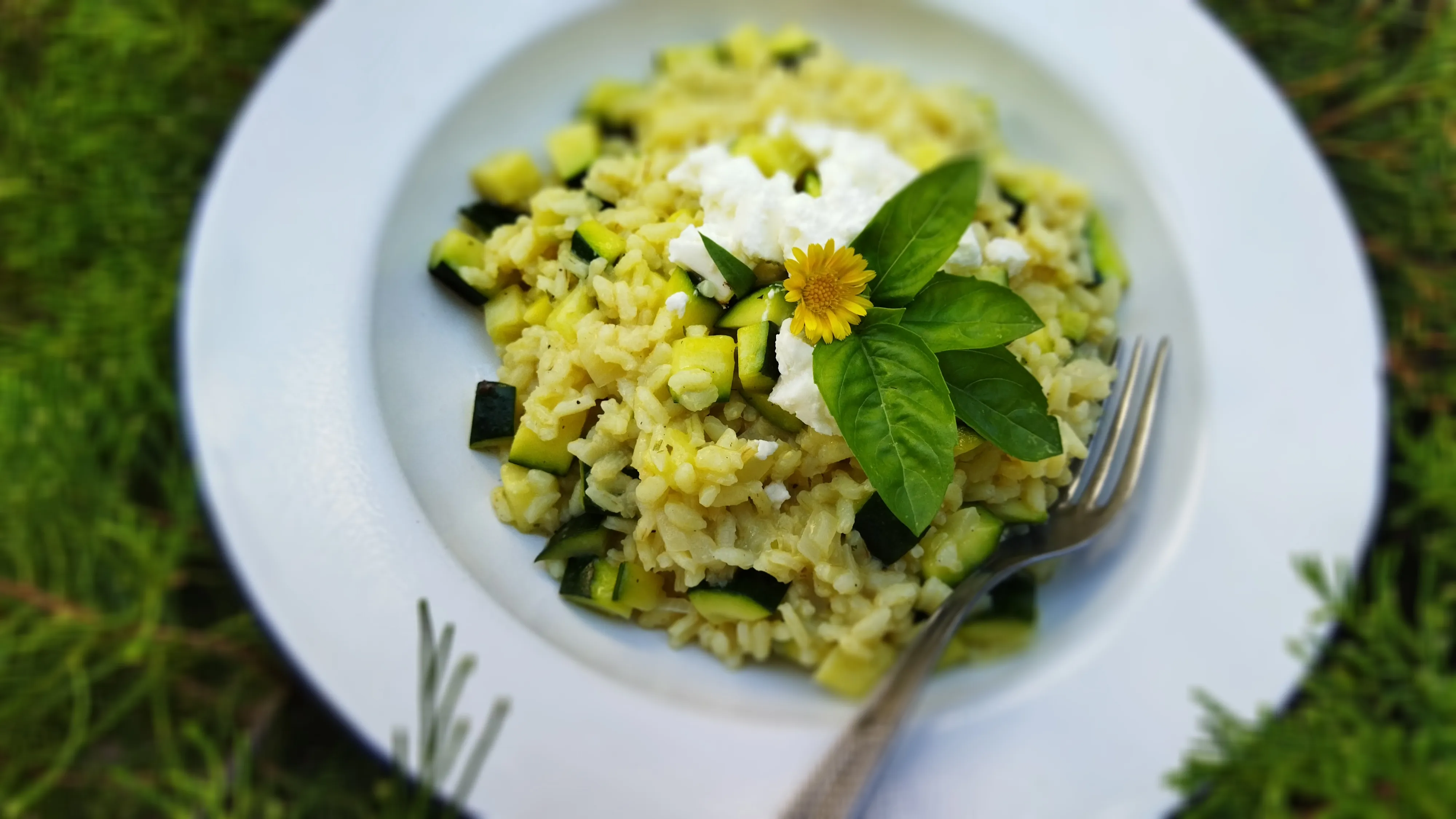 Zucchini-Zitronenrisotto mit Schafskäse